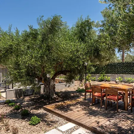 Infinity Premium Cos